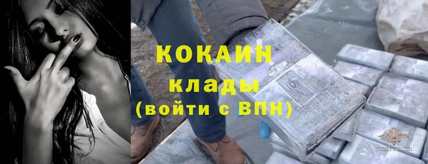 стаф Липки