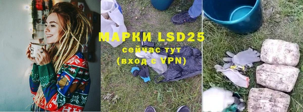 прущие грибы Ладушкин