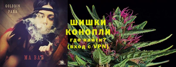 PSILOCYBIN Лихославль