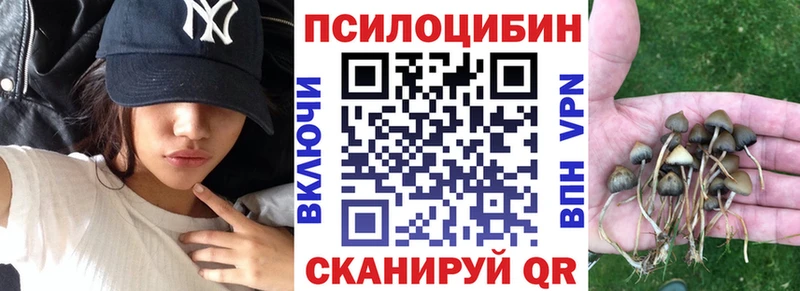Псилоцибиновые грибы Cubensis Надым